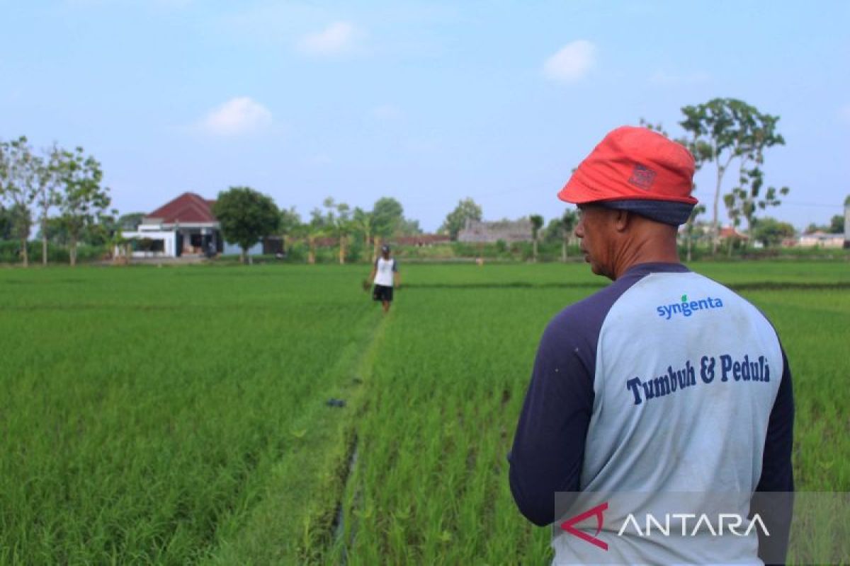 Kelompok Tani "Ngudi Mekar" Prambanan menatap 2024 penuh optimisme