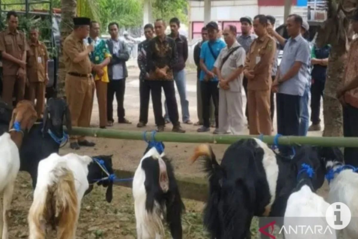 Pemkab Tabalong dukung kelompok ternak dalam pengolahan pupuk
