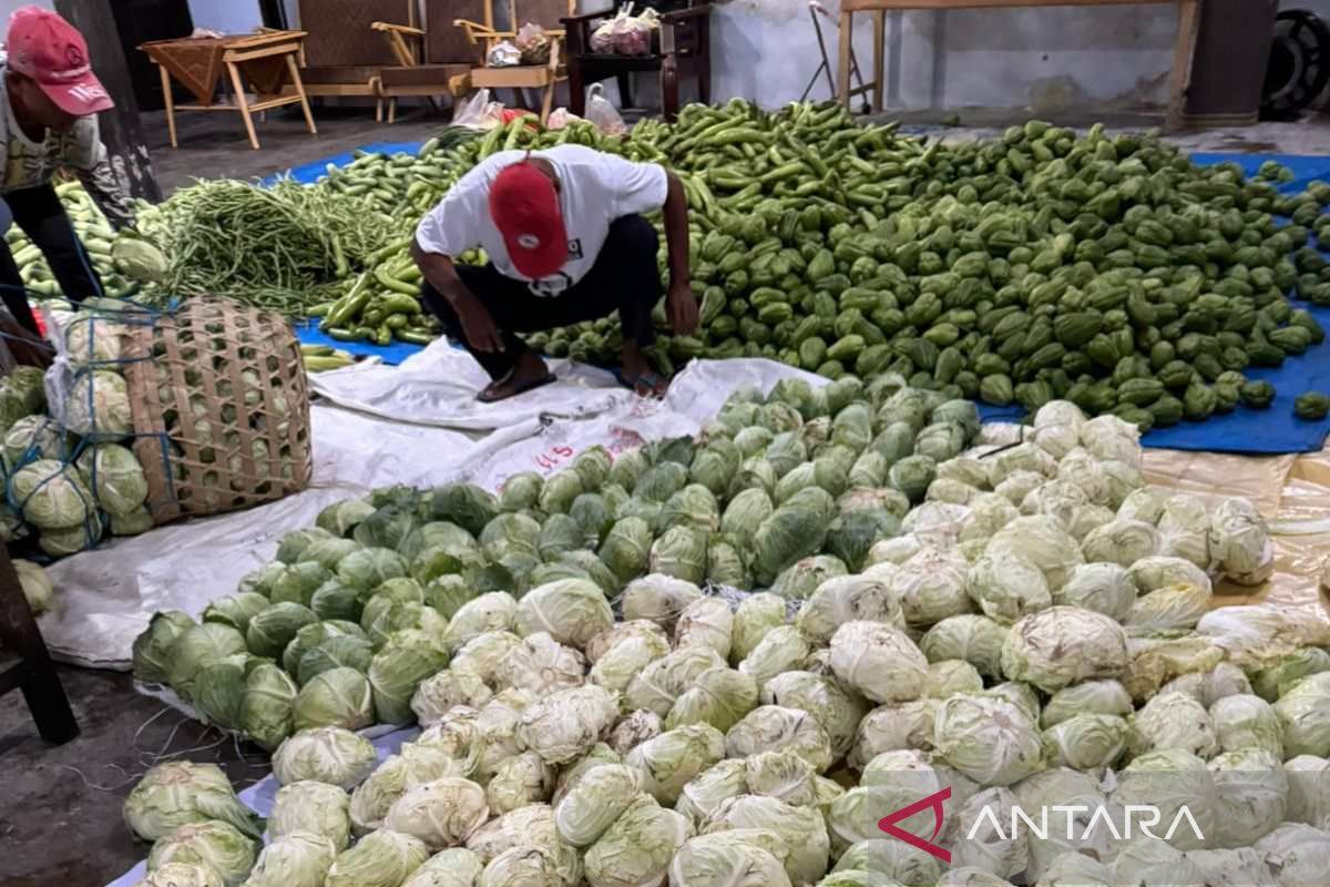Relawan Prabowo borong sayur dari petani