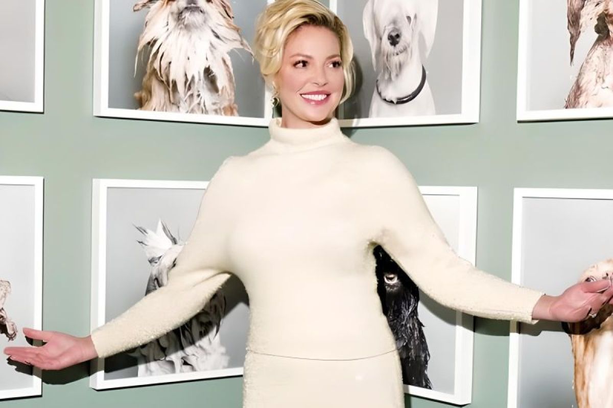 Katherine Heigl tampil kembali di Emmy Awards setelah 10 tahun absen