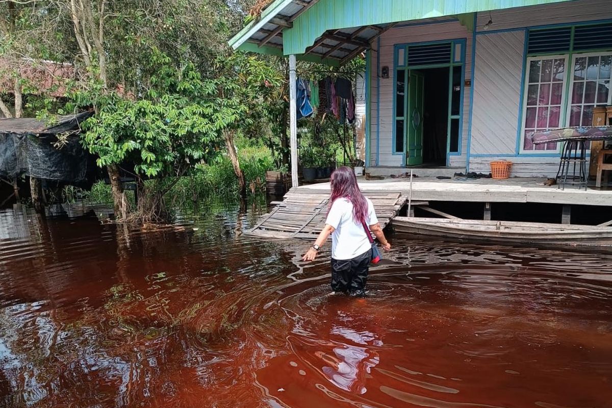 Ratusan KK di Palangka Raya terdampak banjir luapan Sungai Kahayan