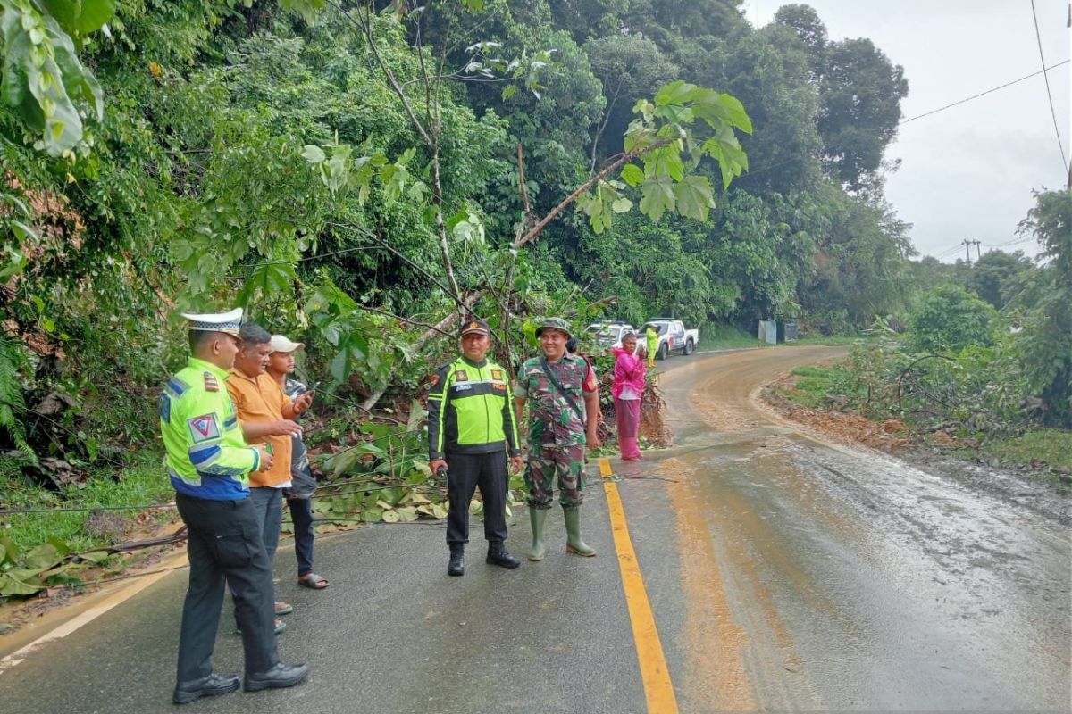 Alhamdulillah, Jalan Lintas Sumatera Sumbar-Riau bisa dilalui usai longsor
