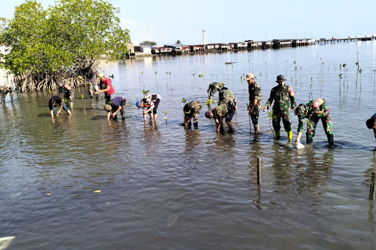 Kodim Wajo melakukan penanaman mangrove cegah abrasi pantai