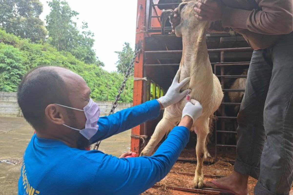 Karantina tolak hewan tidak dilengkapi dokumen masuk ke Sulbar