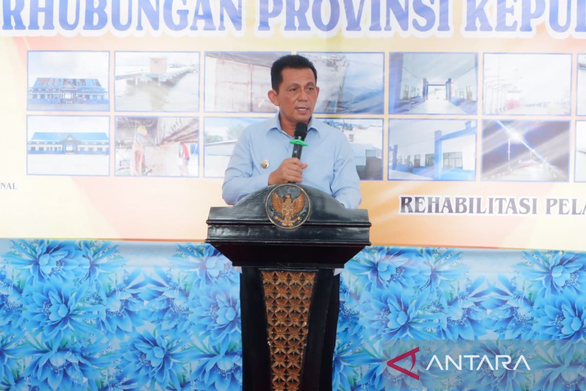 Pemerintah anggarkan Rp15 miliar bangun jembatan di Natuna