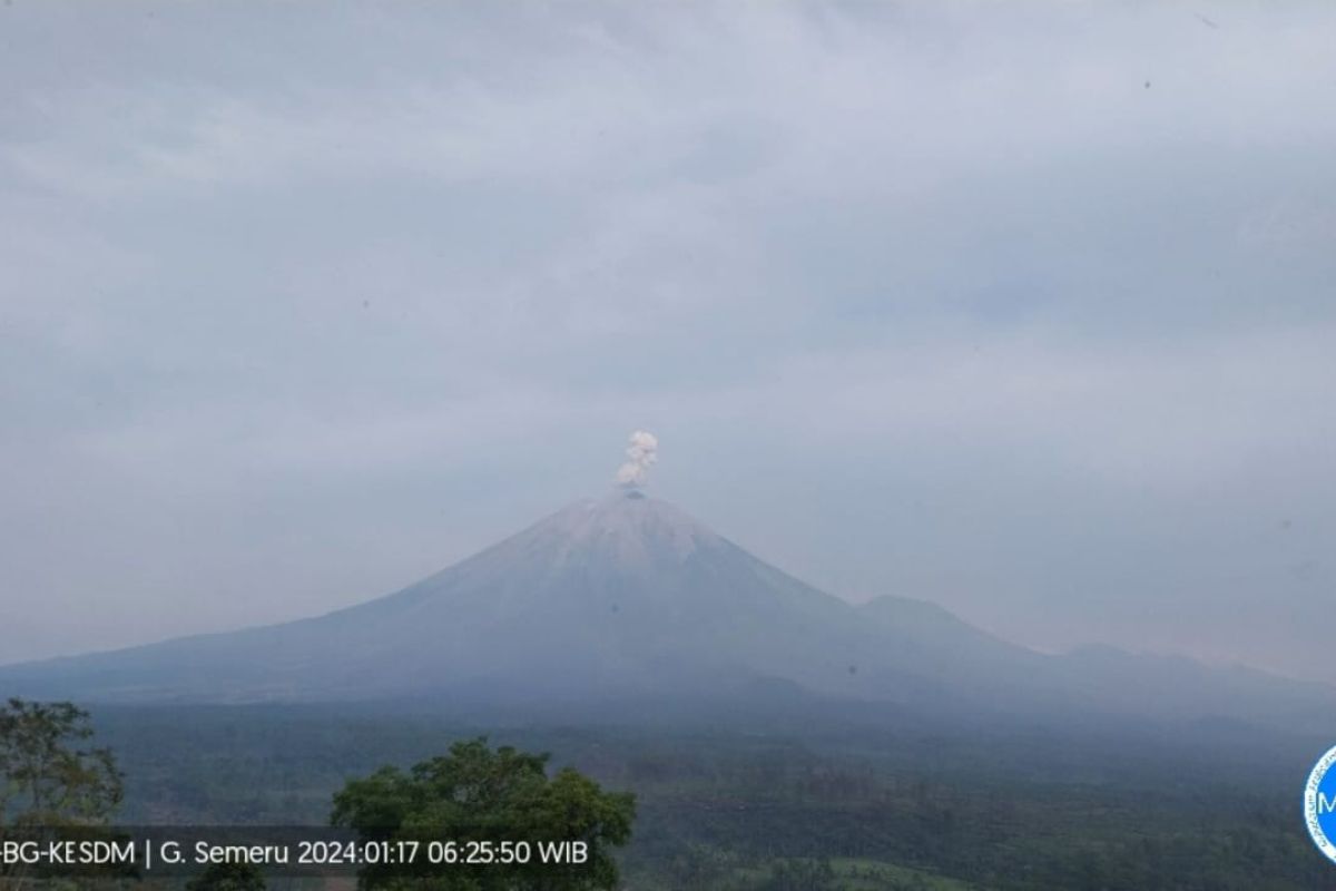 Gunung Semeru kembali erupsi dengan tinggi letusan 600 meter
