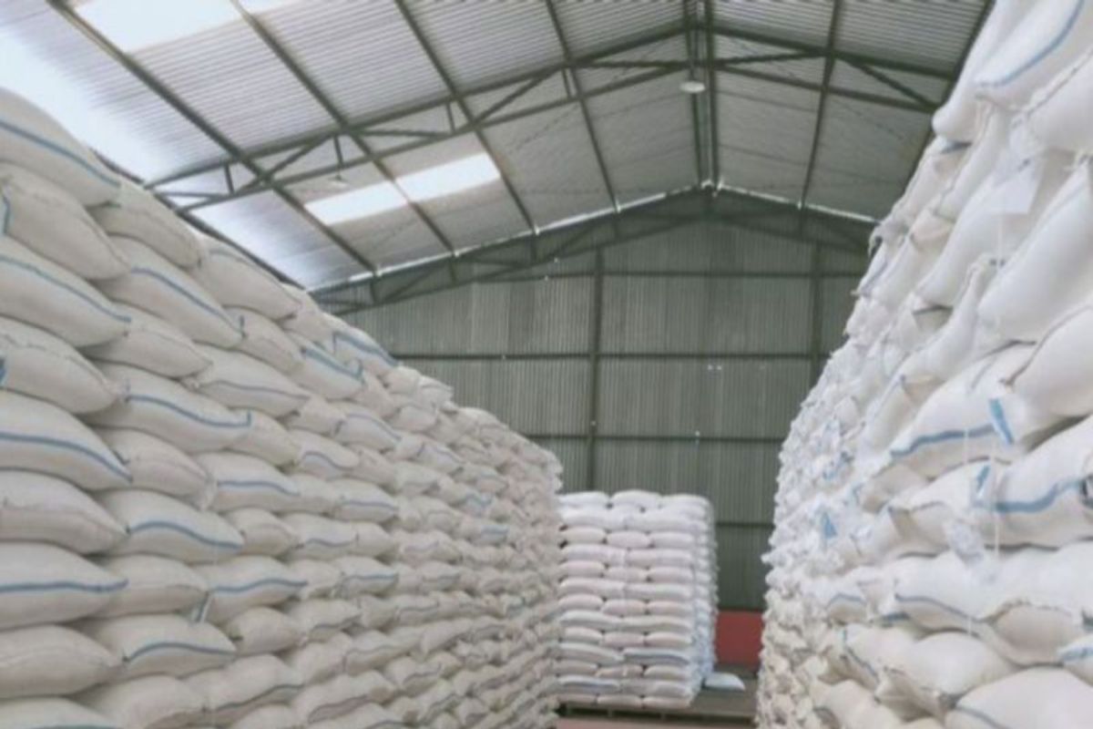 Bulog sebut ketersediaan beras di Sulteng capai 11 ribu ton di Januari