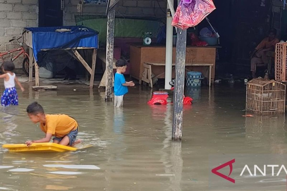 BPBD larang anak-anak main di kawasan banjir rob cegah serangan buaya