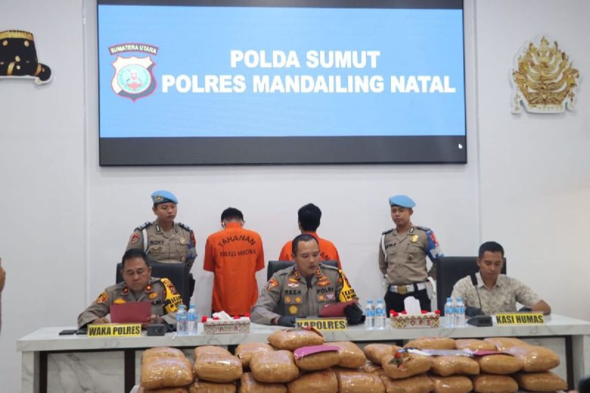 Dua terduga kurir 116 kg ganja ditangkap Polres Mandailing Natal