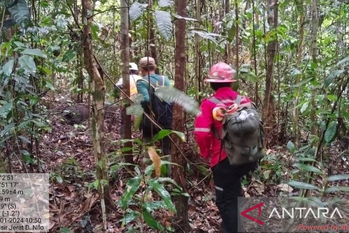 Tim gabungan BBKSDA dan PT Arara Abadi sapu jerat dan racun satwa dilindungi di Nilo Pelalawan