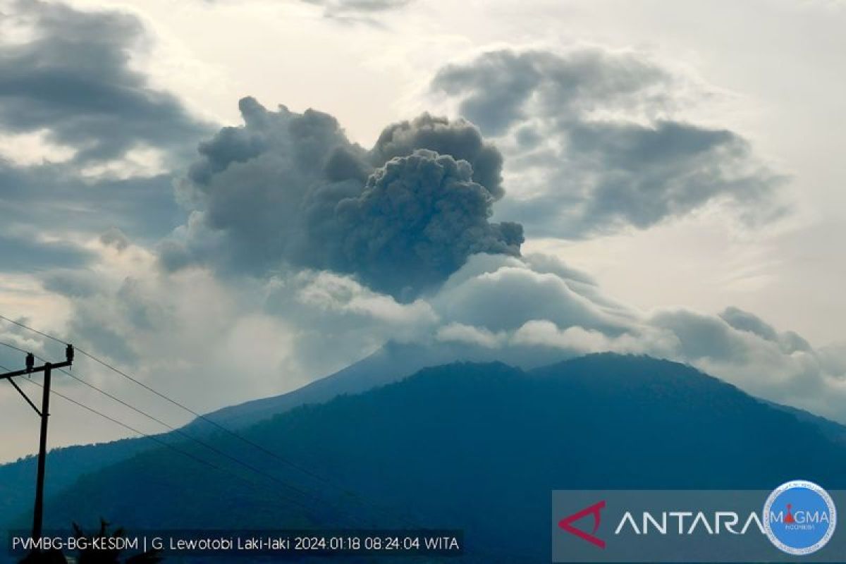 PVMBG: Jarak luncur lava Gunung Lewotobi Laki-laki bertambah jauh