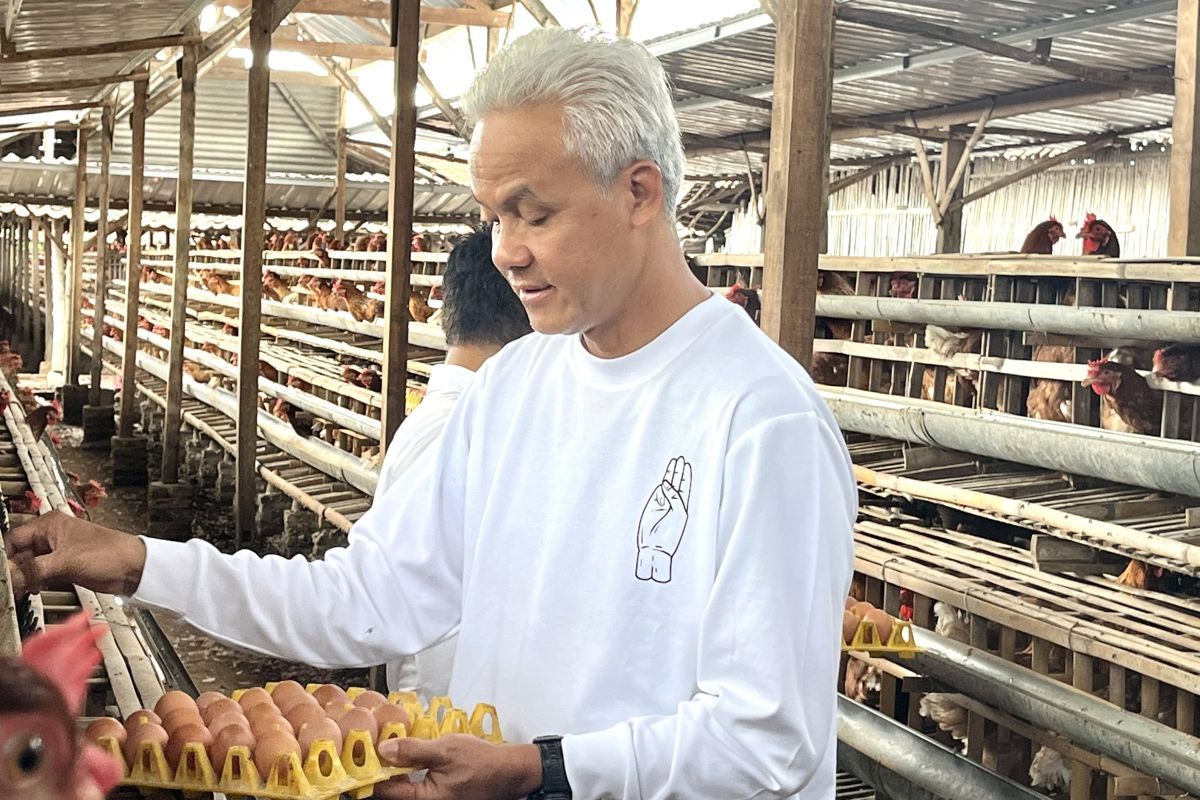 Ganjar Pranowo nyatakan harga jagung yang cukup tinggi beratkan peternak