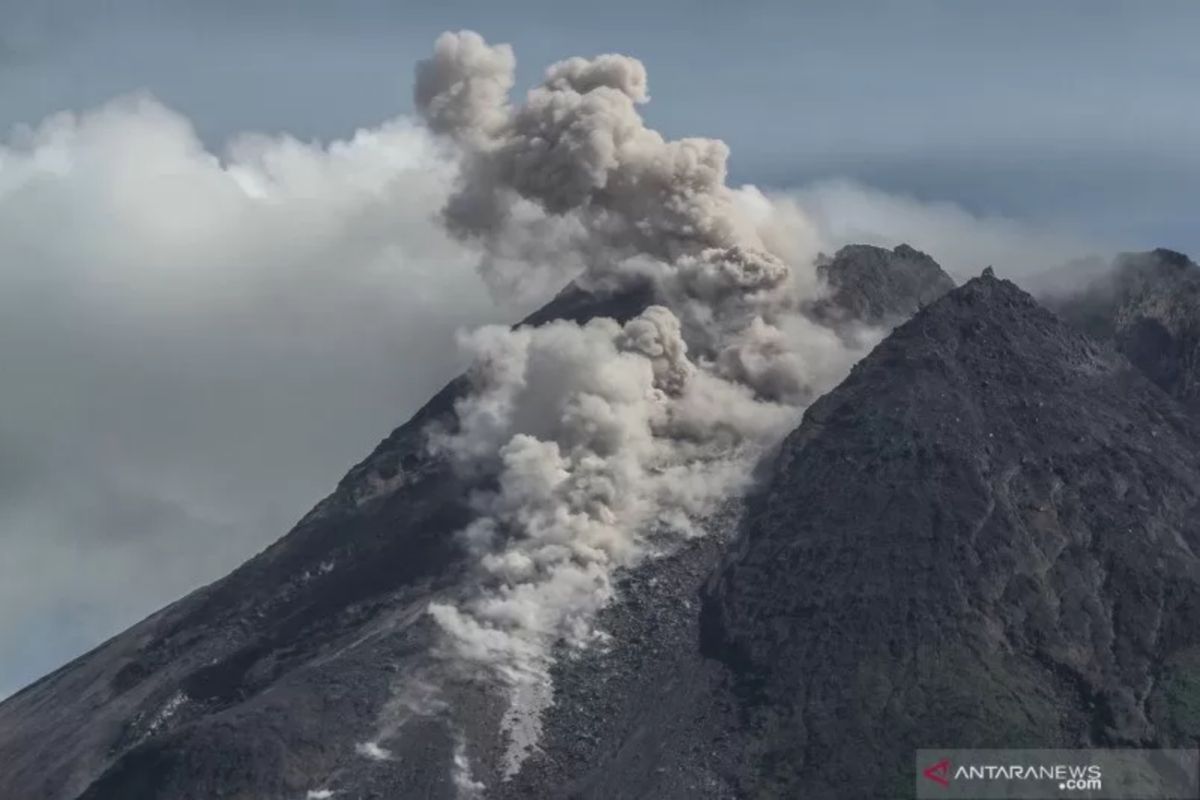 Merapi luncurkan awan panas guguran beruntun pada Jumat pagi