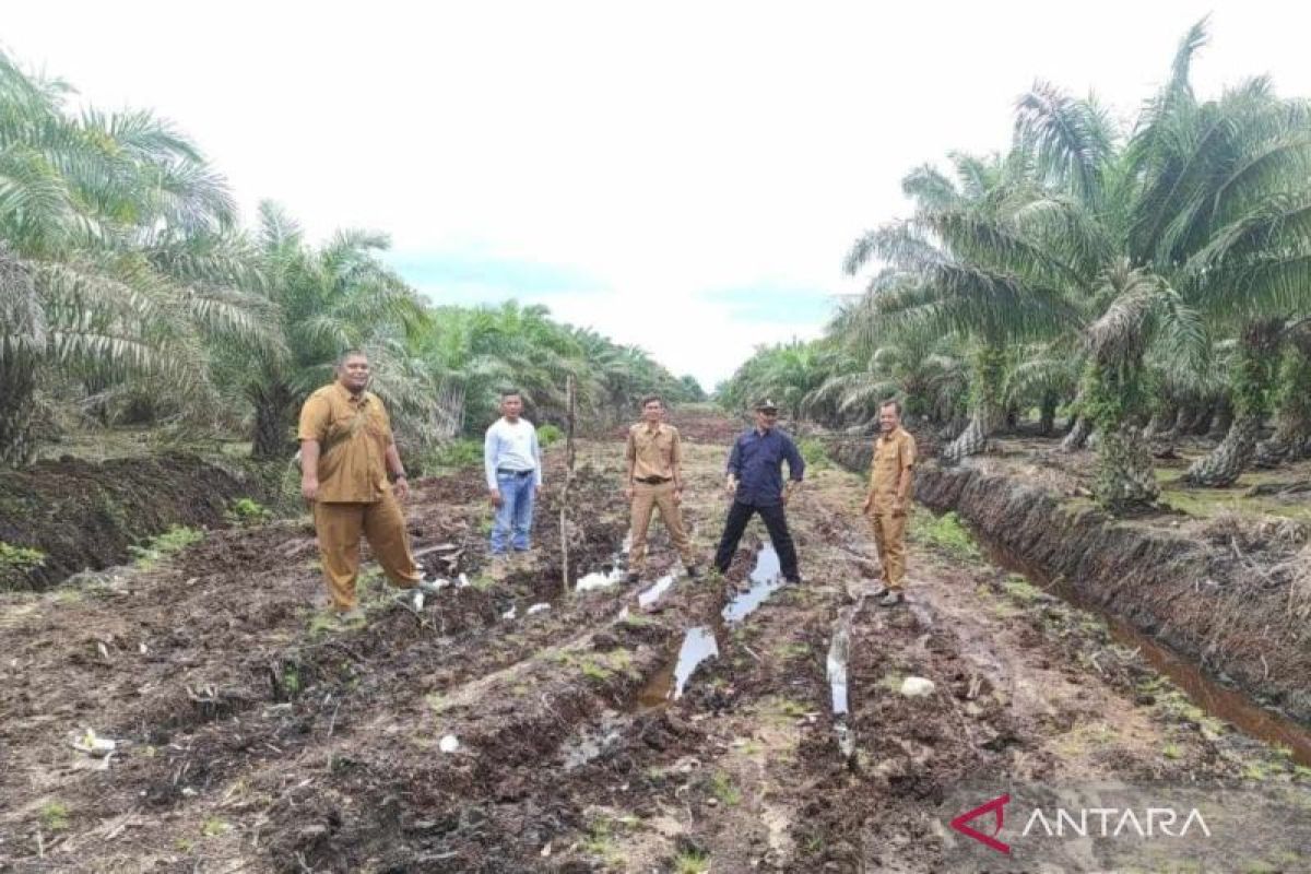 Mukomuko lengkapi syarat program sarana perkebunan