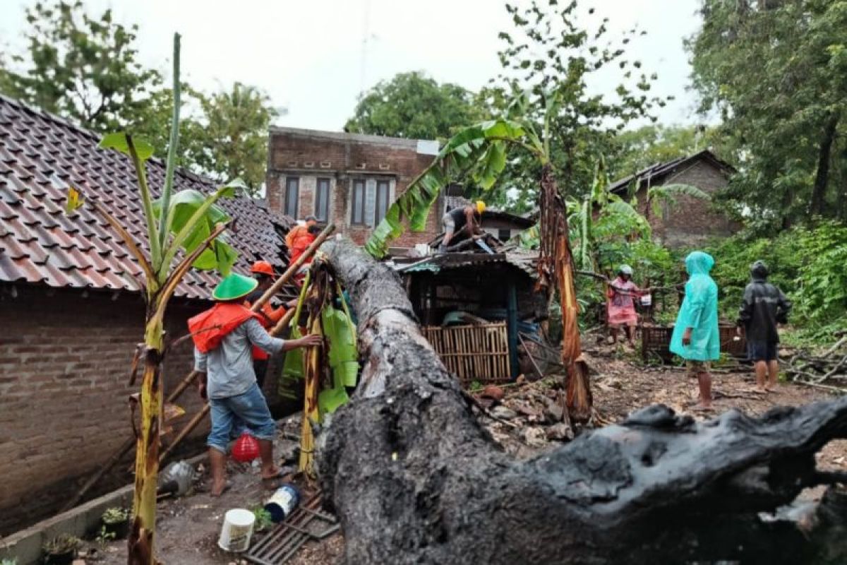 Sejumlah rumah di Bantul rusak tertimpa pohon tumbang saat hujan deras