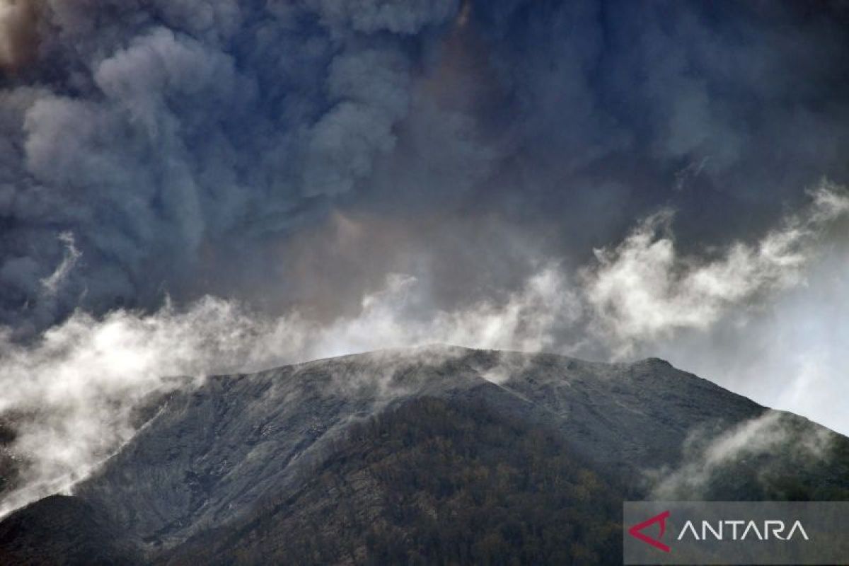 Kemarin, gempa Tojo Una-Una hingga dampak puting beliung di Bondowoso