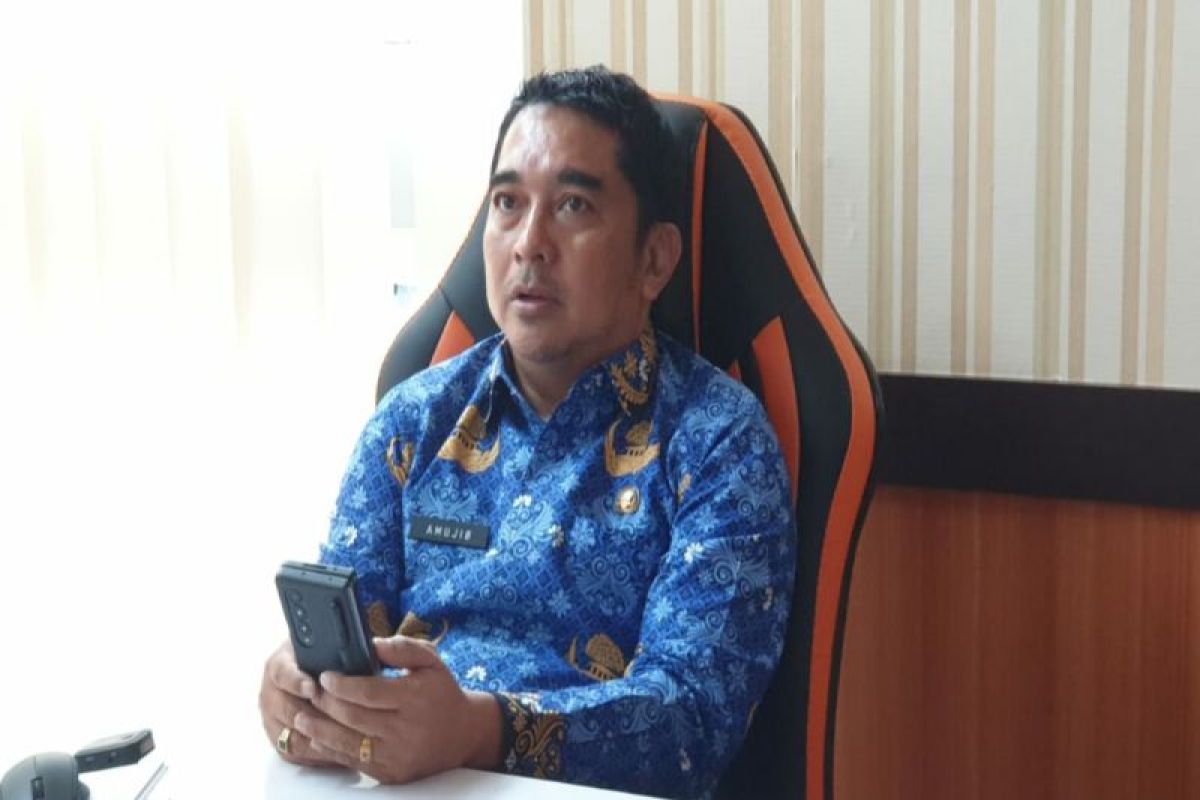 Kemendagri Apresiasi Capaian Realisasi Apbd Sulbar Antara News