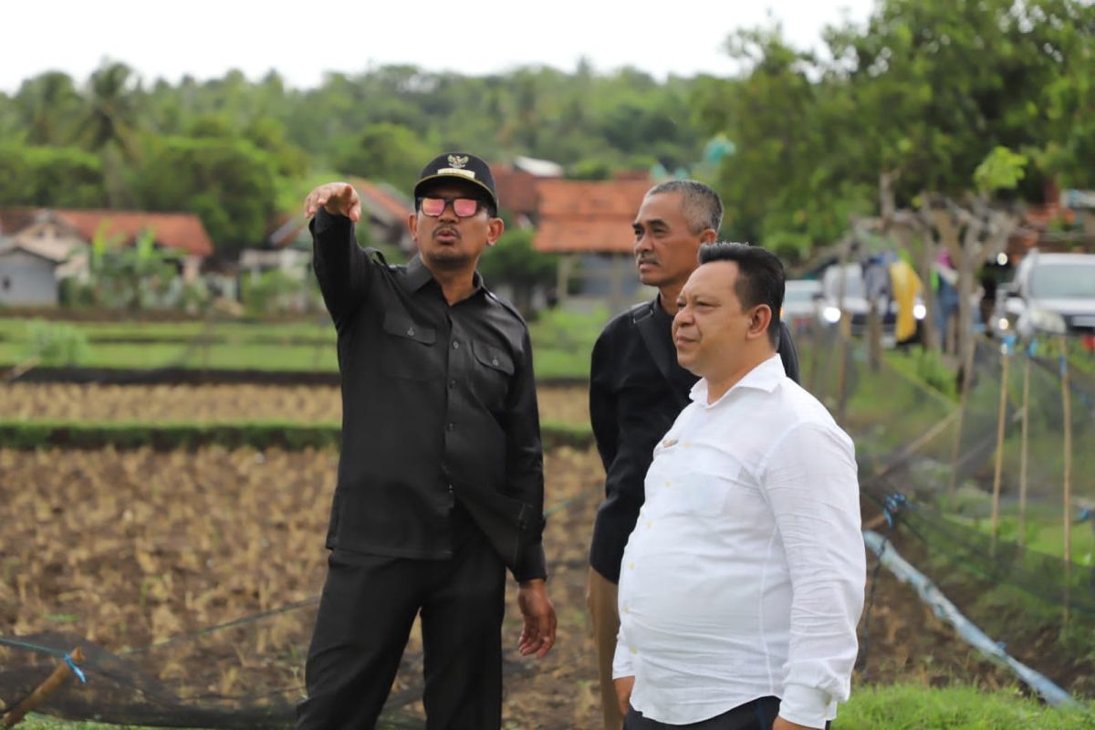 Wabup Garut: Pengembangan beras basmati untuk sejahterakan petani