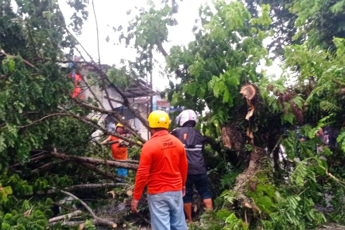 Empat daerah di Banten berpotensi hujan lebat dan angin kencang