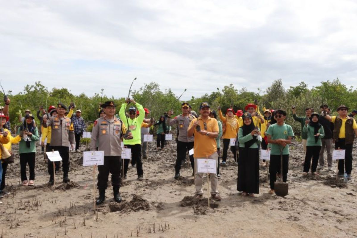 Polisi dan mahasiswa tanam bibit mangrove di Pantai Gerupu Mandalika