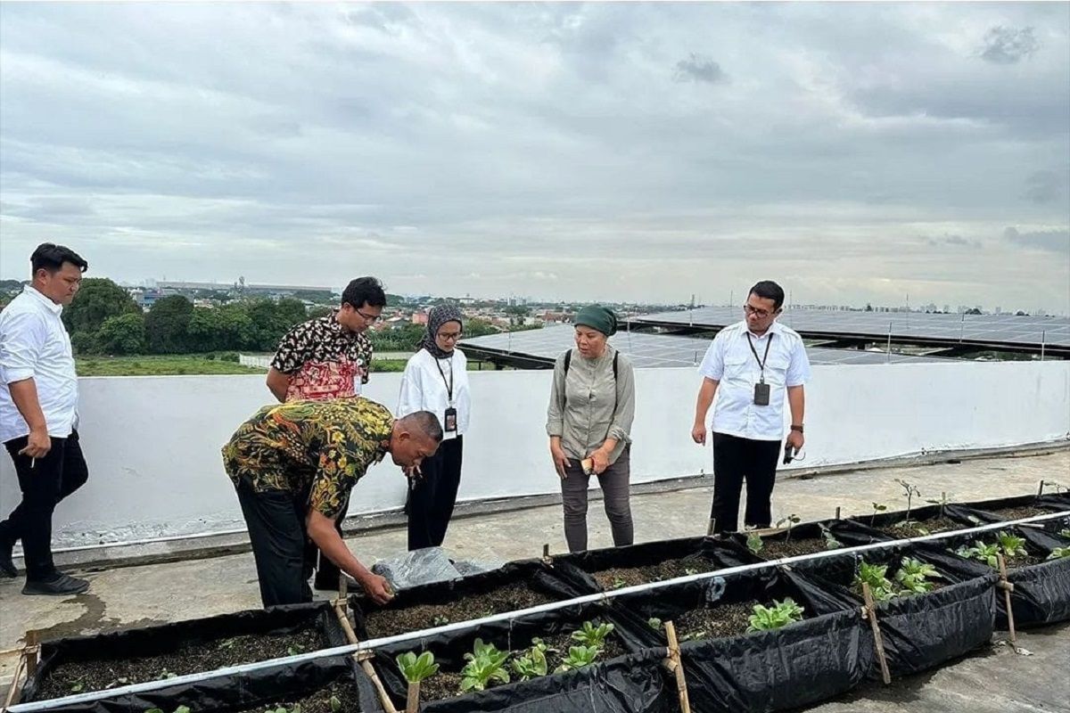 DKP Kota Tangerang siapkan program urban farming di rusunawa