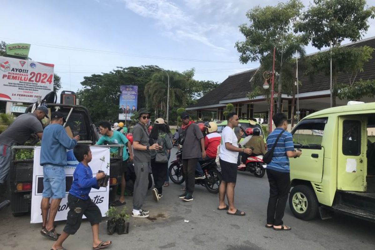 MCC bagikan 1.000 pohon gratis kepada warga Ambon