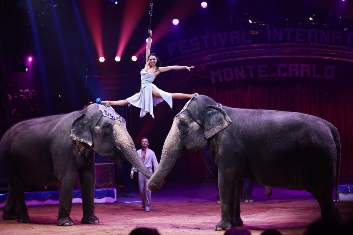 Festival Sirkus Internasional Monte Carlo ke-46 dimulai di Monako