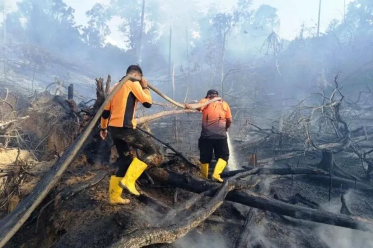 Titik panas di Kaltim turun dari 21 menjadi 13