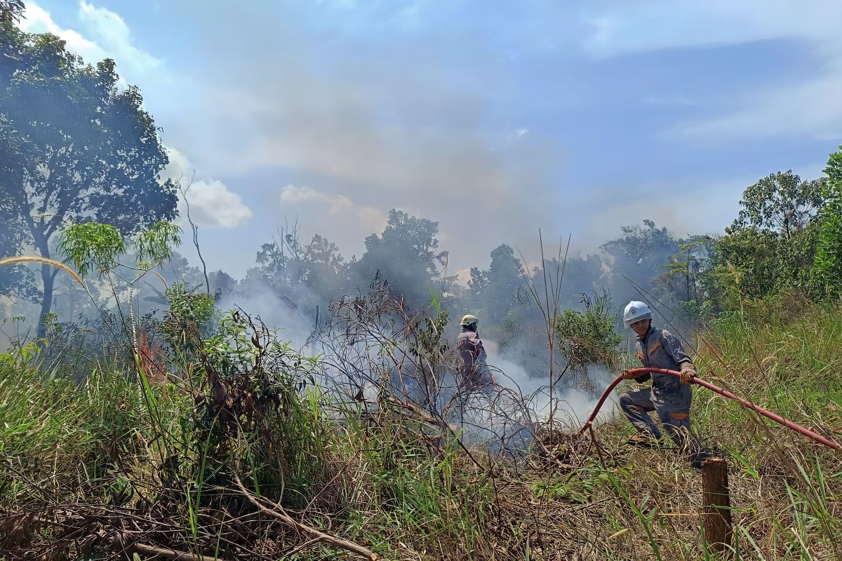 Tim gabungan padamkan kebakaran lahan di Bintan