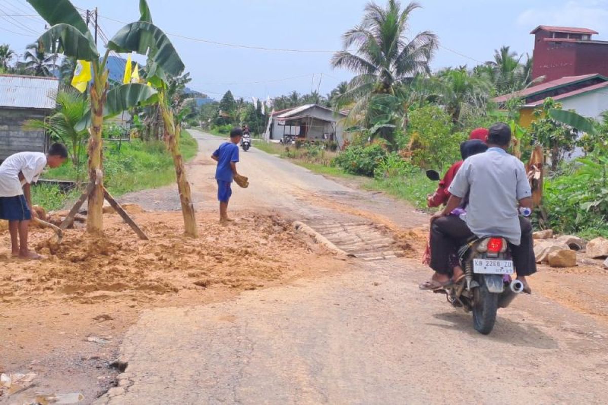 Jalan provinsi di Rantau Panjang ditanami pisang oleh warga