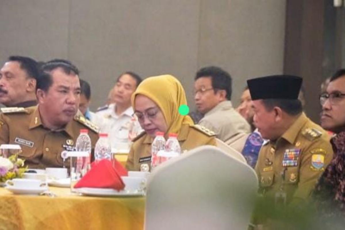 Pj Bupati Merangin sebut BI berkontribusi bagi perekonomian Merangin