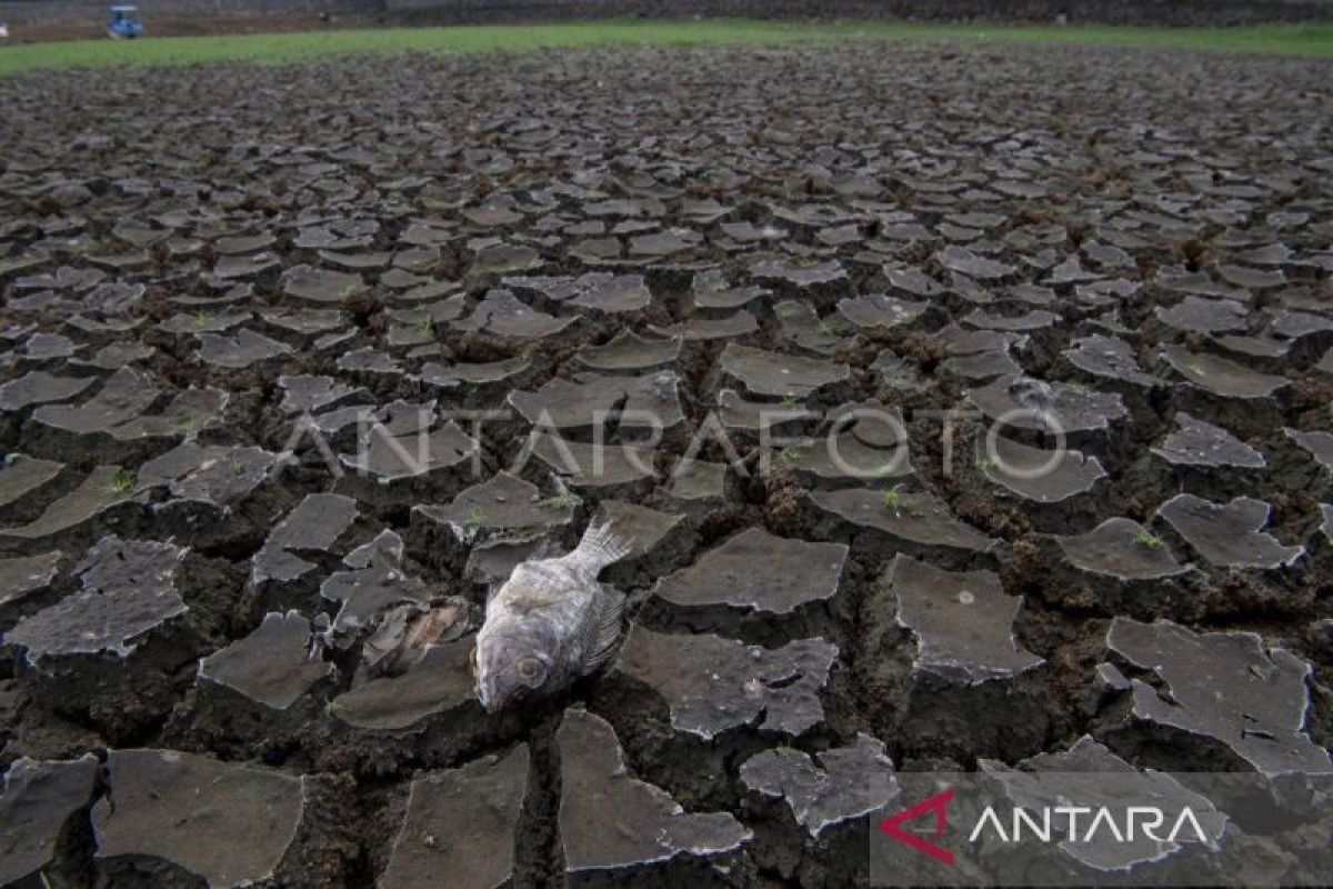 DPRD NTT : Penanganan El Nino dilakukan bersama-sama