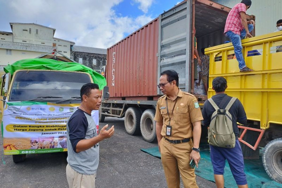 Pemprov Kalbar serahkan cadangan jagung kepada sejumlah peternak di Singkawang