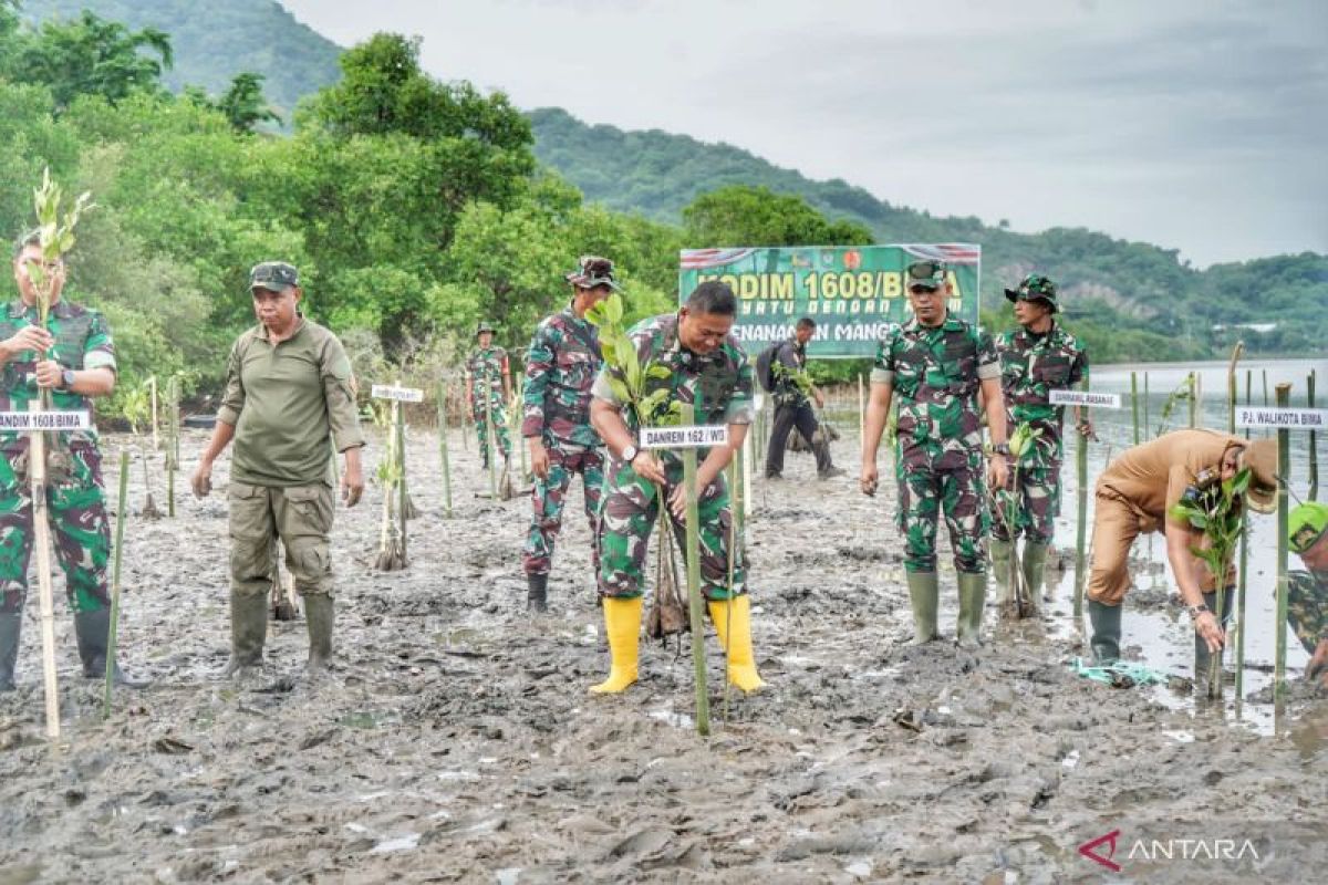 TNI tanam 3.000 bibit mangrove di Pantai Amahami Bima NTB