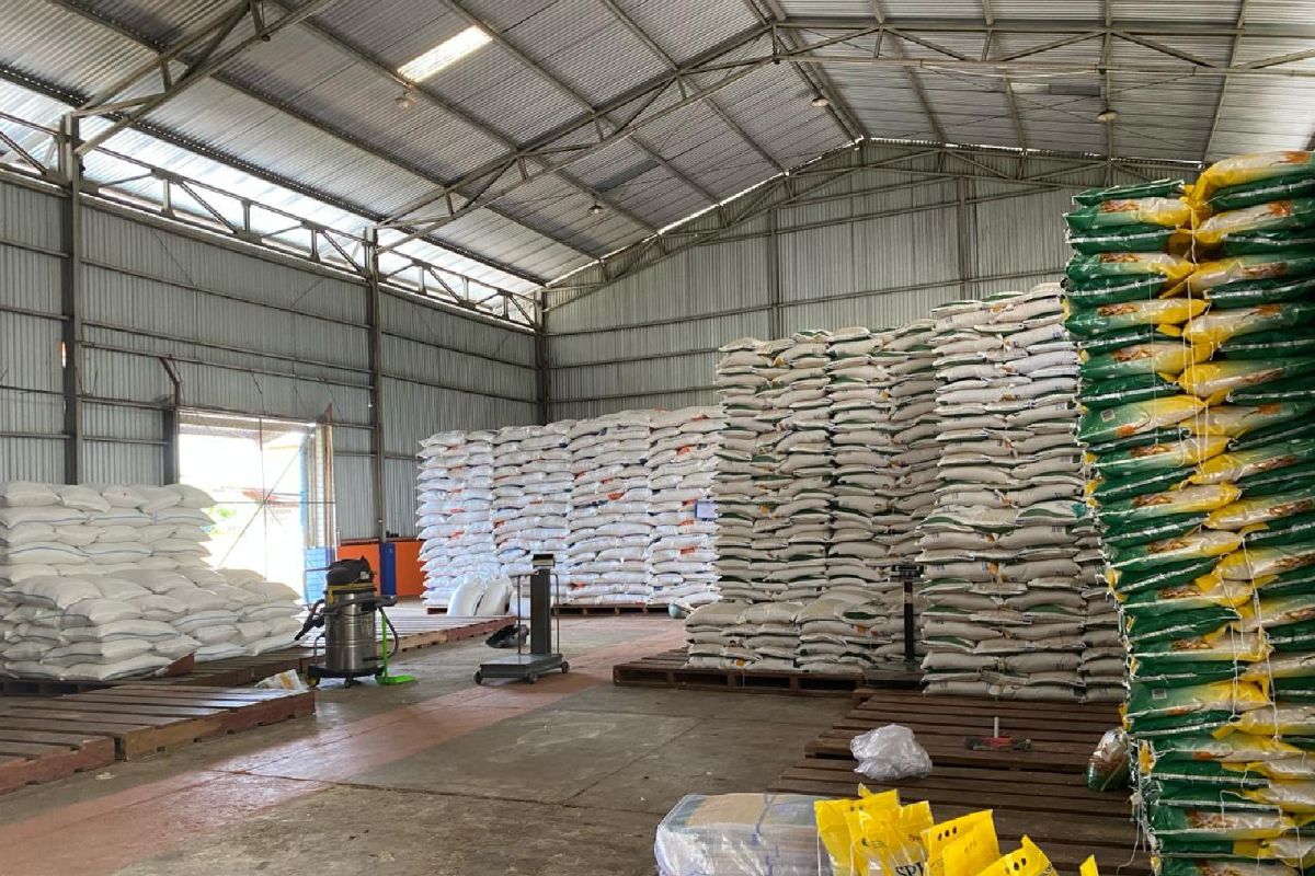 Bulog berantas hama di gudang untuk menjaga kualitas beras di Kapuas Hulu