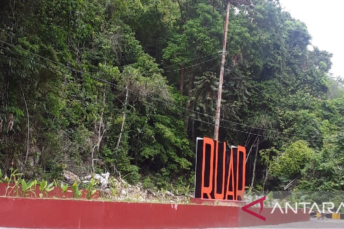 Taman Mangrove Ruar Biak Timur jadi destinasi wisata unggulan
