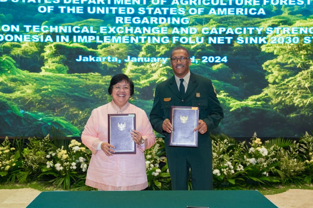 Indonesia, US team up to lower forestry sector emissions