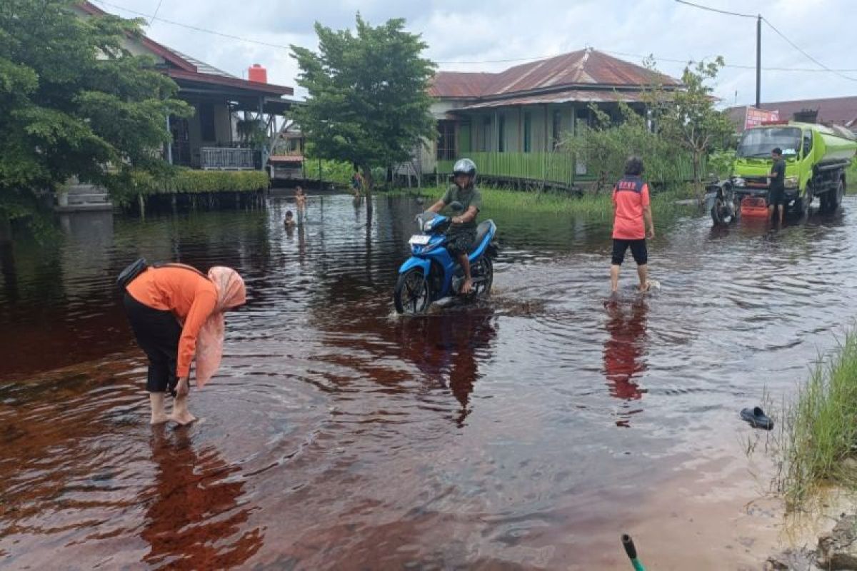 Dua kelurahan di Palangka Raya masih terendam banjir