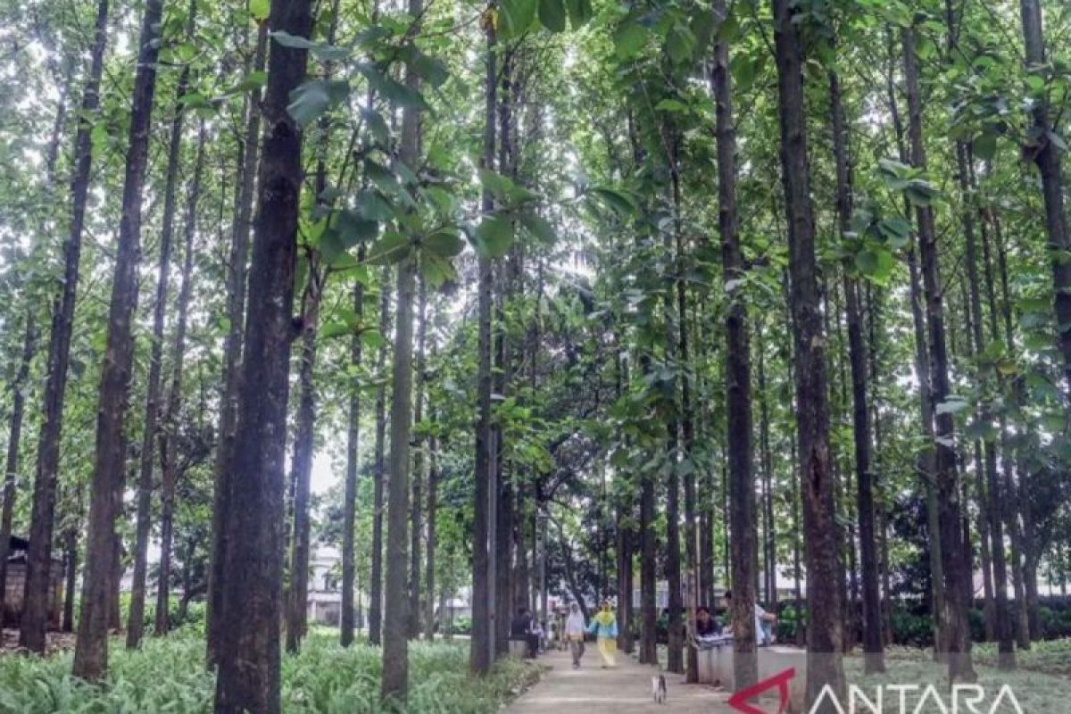 Pemprov DKI tambah tiga hutan kota pada 2024