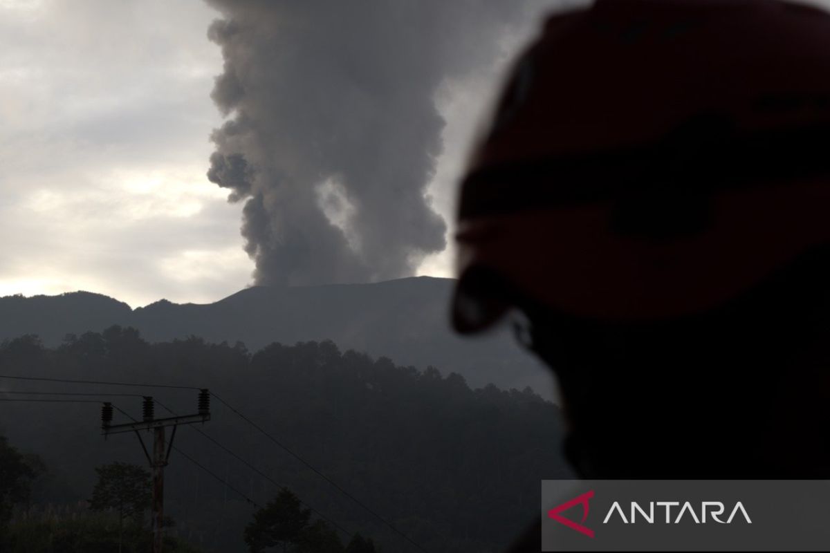 800 ha lahan pertanian di Sumbar berpotensi terdampak erupsi Gunung Marapi