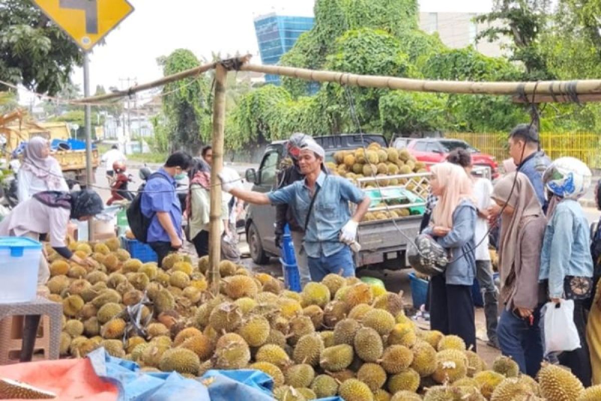 Buah durian banjiri Palembang