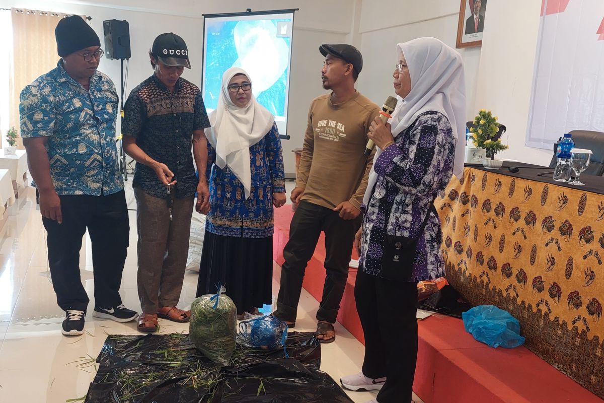 DPR RI-BRIN latih peternak olah pakan ternak di Sorong