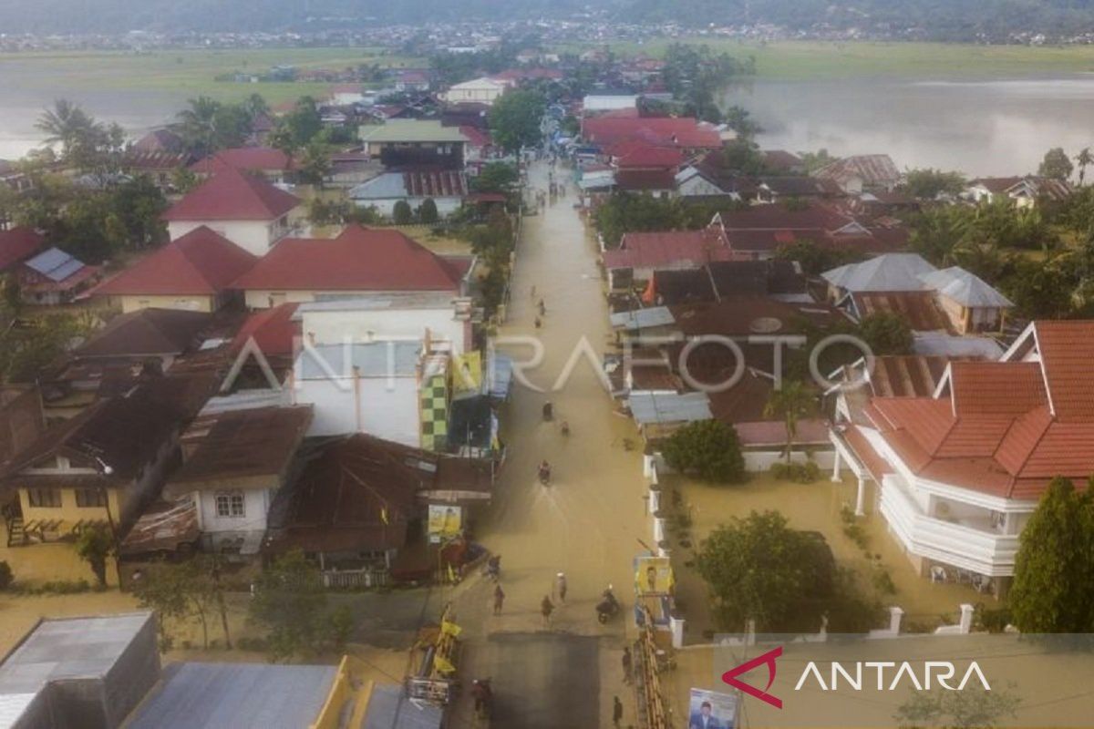 Lahan pertanian seluas 2.570 hektare di Jambi terdampak banjir