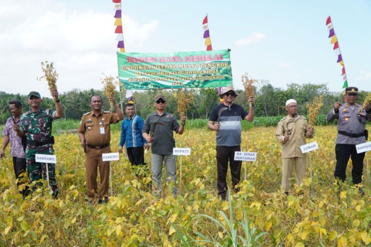Pemkab Gunungkidul dapat bantuan benih jagung untuk 17 ribu hektare