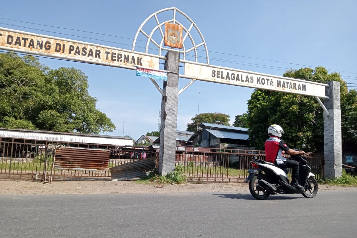 Anggaran revitalisasi Pasar Hewan Salagas Mataram diusulkan Rp30 miliar