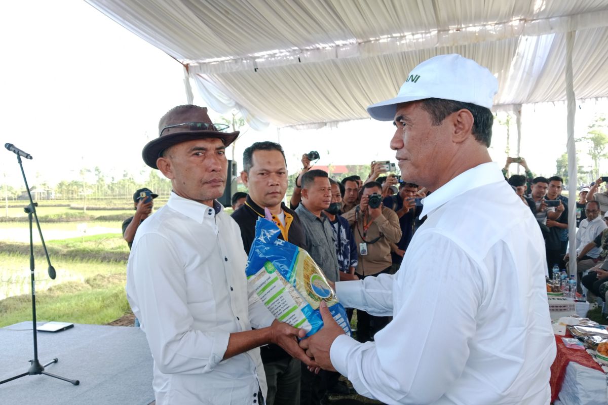 Antisipasi krisis pangan, Mentan tanam padi di Lombok Tengah