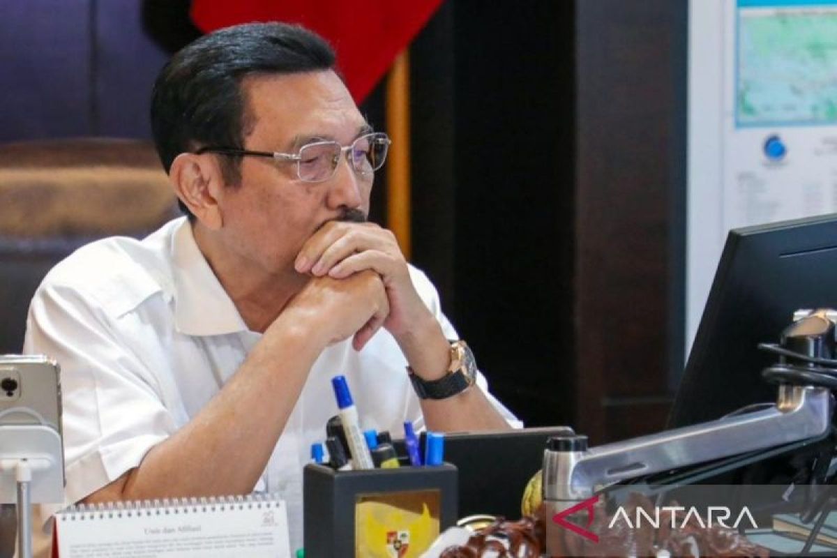 Luhut bantah pekerja asing dominasi proyek hilirisasi pertambangan