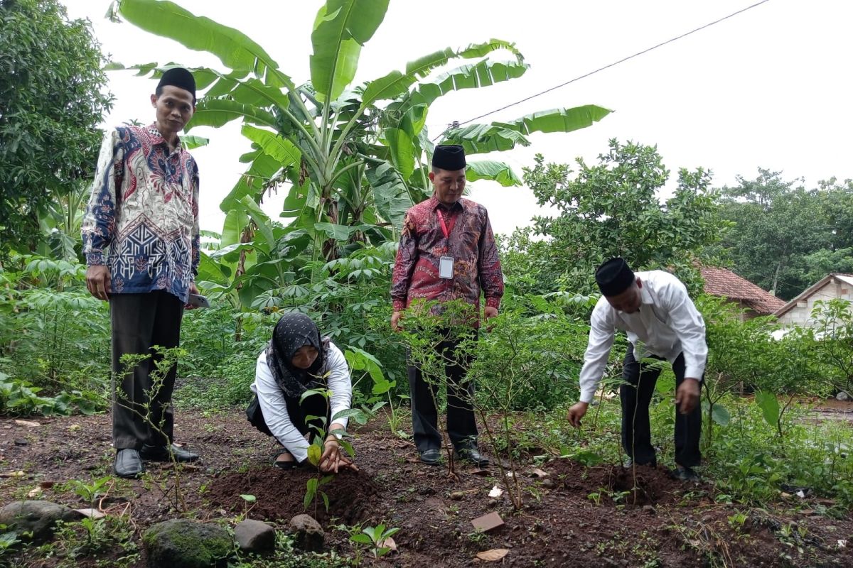 24.430 anggota KPPS Jepara tanam bibit pohon di TPS masing-masing