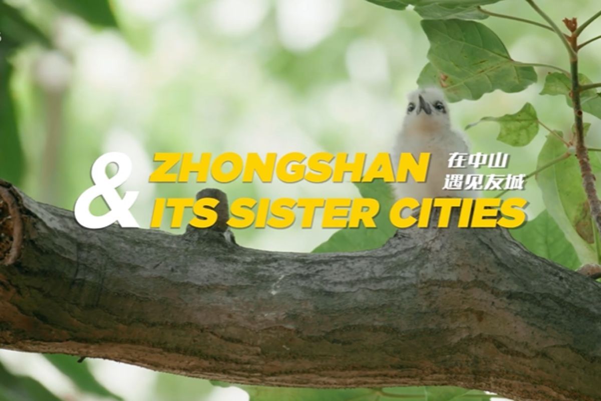 China Matters' Feature: Misi X dalam kemitraan pengamatan burung