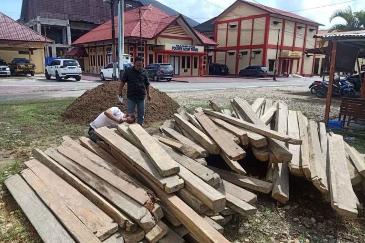 Polisi tangkap warga diduga bawa kayu ilegal